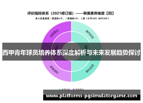 西甲青年球员培养体系深度解析与未来发展趋势探讨