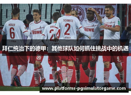 拜仁统治下的德甲：其他球队如何抓住挑战中的机遇