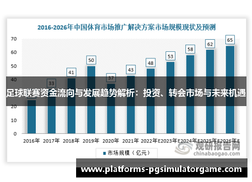 足球联赛资金流向与发展趋势解析：投资、转会市场与未来机遇