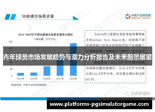 青年球员市场发展趋势与潜力分析报告及未来前景展望