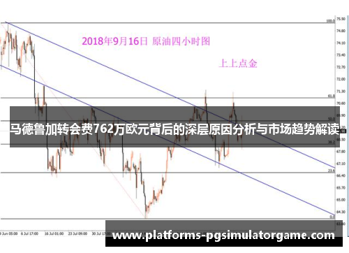 马德鲁加转会费762万欧元背后的深层原因分析与市场趋势解读