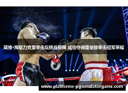 戴维·海耶力克重拳击坛挑战极限 成功夺得重量级拳击冠军荣耀 戴维·海耶力克重拳击坛挑战极限 成功夺得重量级拳击冠军荣耀